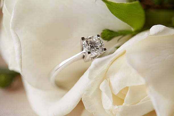 The Perfect Blend of Beauty and Value in Lily Arkwright Moissanite Rings